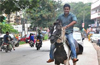 Avinand Achanahally, to open horse riding academy in city